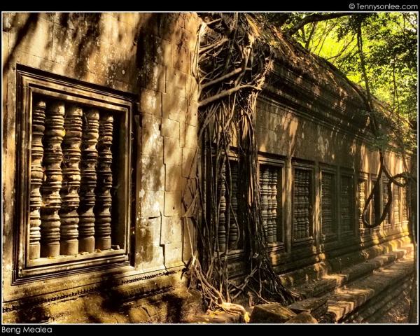 CAMBODIA IN DEPTH